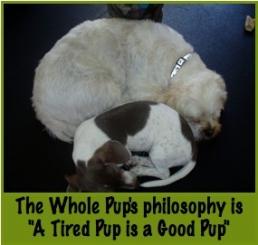 Breaking up Dog Fights and keeping FIDO Happy!