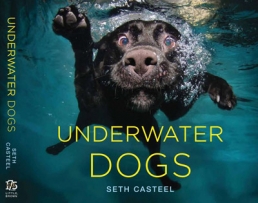 Seth Casteel’s UNDERWATER DOGS - NOW AVAILABLE!