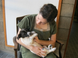 HELEN WOODWARD ZODIAC PUPS BORN UNDER A “LUCKY STAR”