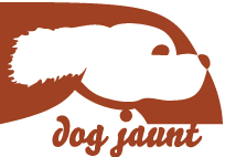Keeping FIDO Safe - Car Travel Safety Tips for Big and Small Dogs!