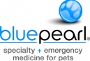 Rabies Rate Remains Around Same Level as 2012, Concern for People and their Pets Still Needed
