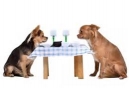 Dine With Your Canine at Jedediah Hawkins Inn