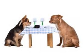 Dine With Your Canine at Jedediah Hawkins Inn