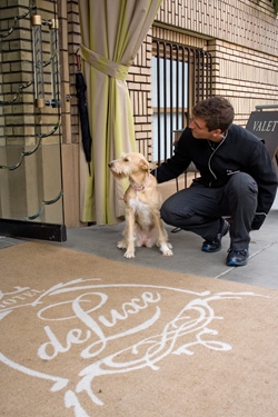 HOTEL DELUXE -, Portland, OR – Property Pick of the Litter