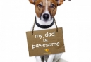 Like father, like pup. Nutrition for both - you’ll be surprised!