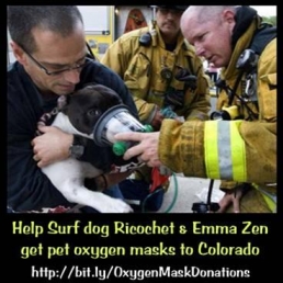 Urgent help needed for dogs in the Colorado wild fires