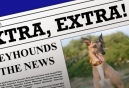 GREY2K USA Shares Important News Reports