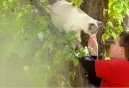 HomeAgain Pet Recovery Service Launches Hero of the Year Program
