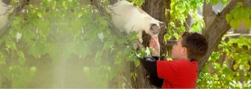 HomeAgain Pet Recovery Service Launches Hero of the Year Program