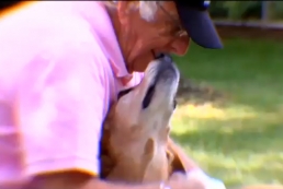 A Dog Lovers Final Wish