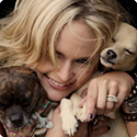 Miranda Lambert and PEDIGREE® Brand Join Forces to Help Find Loving Homes for More Shelter Dogs