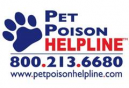 Venomous Creatures Poisonous to Pets in North America