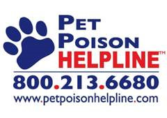 Venomous Creatures Poisonous to Pets in North America
