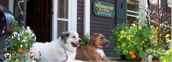 The Mountain Top Inn & Resort - Chittenden, Vermont – Property Pick of the Litter