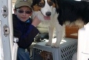 ASPCA Teams Up With Pilots N Paws for Pacific Coast Rescue Event