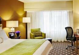 Take a Doggone Great Getaway at the San Diego Marriott Del Mar