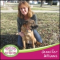 Spring Naturals Canned Dinners Added to Whole Dog Journal “Top Recommended” List