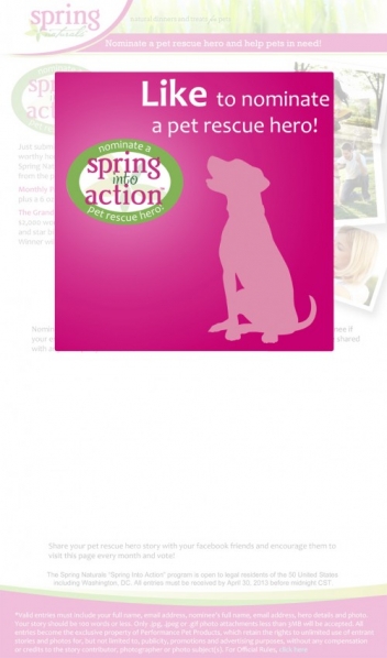 “SPRING INTO ACTION” GRAND PRIZE FINALE
