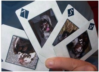 Heritage Makers Deck of dog cards: Product review