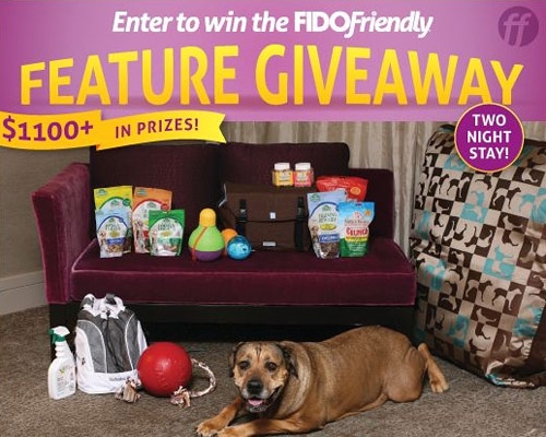 Feature Giveaway