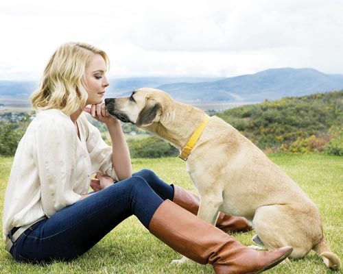 Katherine Heigl