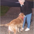Dog Park Visits: Preparing Kids for a Safe First Experience