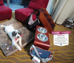 Feature Giveaway: FIDO’S DREAM: $1500 giveaway