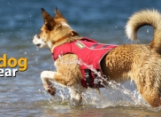 CLOSED - Enter our contest & tell us why a K-9 Float Coat would make your dog’s summer even better!