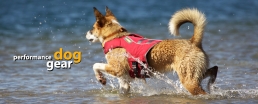 CLOSED - Enter our contest & tell us why a K-9 Float Coat would make your dog’s summer even better!
