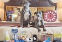 Spring Feature Giveaway Contest - Enter Today!