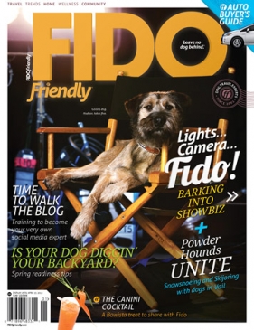 Issue 53