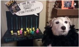 FIDO Friendly Marshmallow Peeps and Dogs Photo Contest Winners
