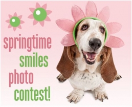 Springtime Smiles Photo Contest: Win $500 Petsmart card and $500 Shelter Donation