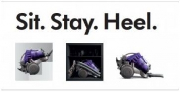 Dyson DC23 Animal Canister Vacuum product review