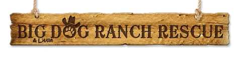 Big Dog Ranch Rescue