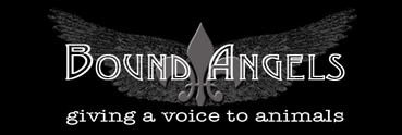 Bound Angels