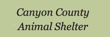 Canyon County Animal Shelter