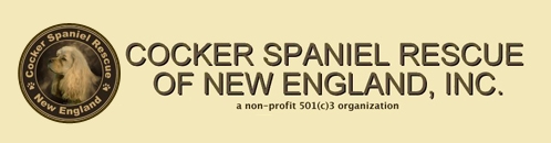 Cocker Spaniel Rescue of New England