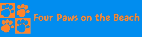 Four Paws on the Beach
