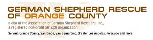 German Shepherd Rescue of Orange County