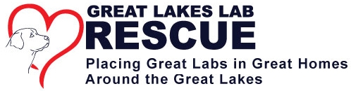 Great Lakes Lab Rescue