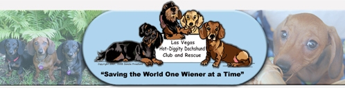 Las Vegas Hot Diggity Dachshund Rescue