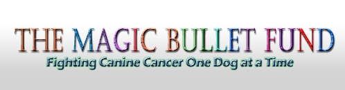 Magic Bullet Fund