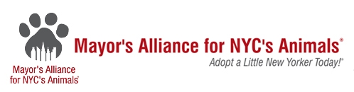 Mayor’s Alliance for NYC’s Animals
