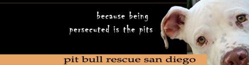 Pit Bull Rescue San Diego