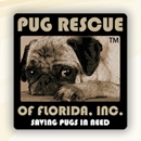 Pug Rescue of Florida / Orlando Pug Rescue & Adoption