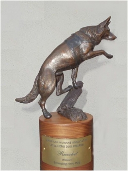 Hero Dog Awards let the Dogs Shine