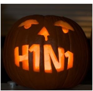 Reemergence of H1N1 virus: What you need to know to protect your pet