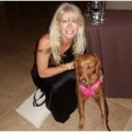 Hero Dog Awards let the Dogs Shine