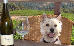 Does your dog ever visit a restaurant with you? We want to see